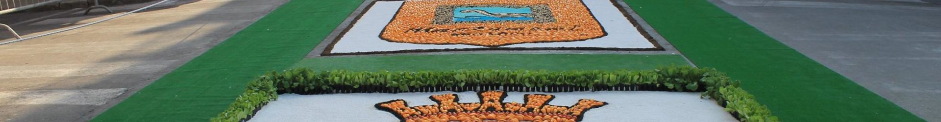 Presentazione alla comunità